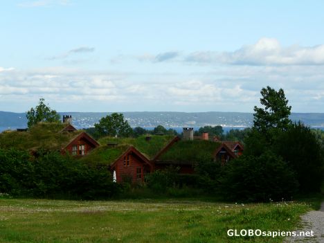 Postcard Don't walk on the grass roofs