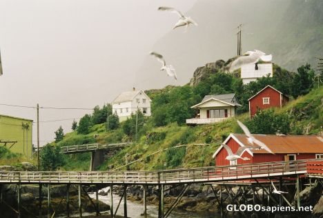 Postcard Fishing village  !