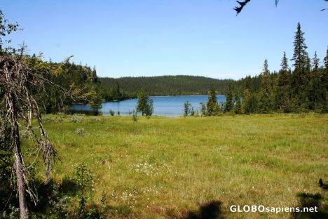 Postcard Ranangen lake