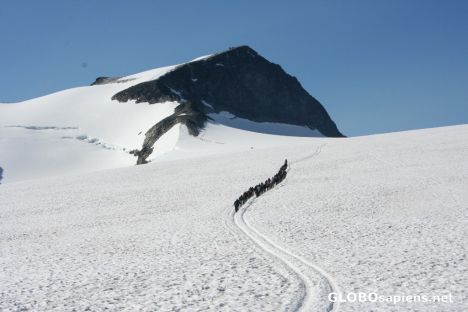Postcard Crossing the glacier