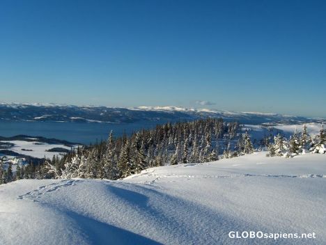 Norwegian winter