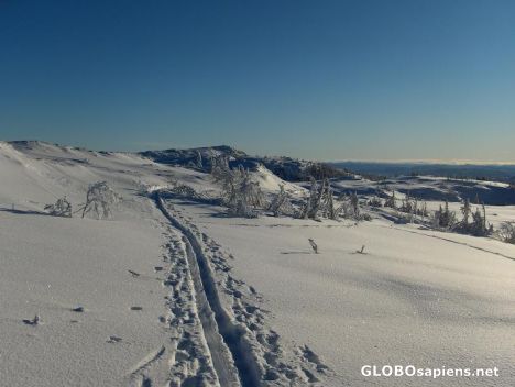 Postcard Our own winter track