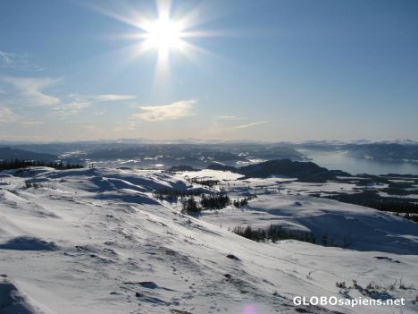 Postcard Some winter sunshine