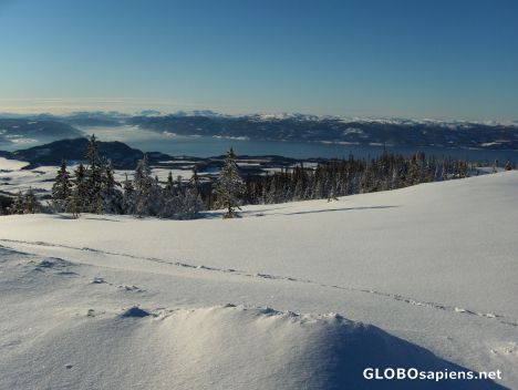 Postcard Over Bymarka hills