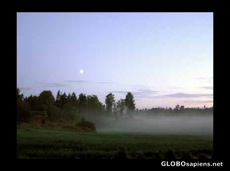 Postcard Fog over the field of our country house in Halden,