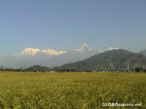 Postcard View of Machhapuchhre
