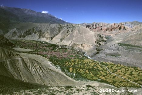 Postcard Ghemi