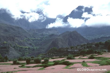 Postcard Jharkot