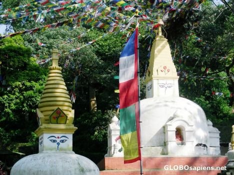 Postcard Garden of Bhuddha