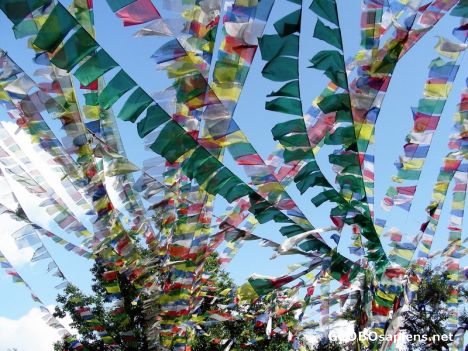Postcard Prayer Flags