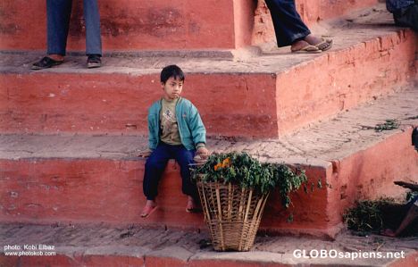 Postcard alone in Durbar Square.