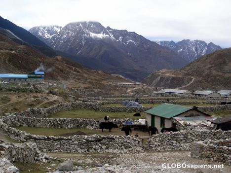 Postcard Pheriche