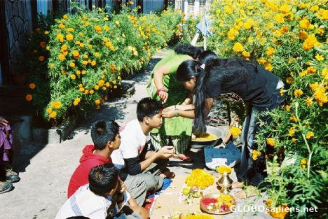 Postcard Tihaar Festival
