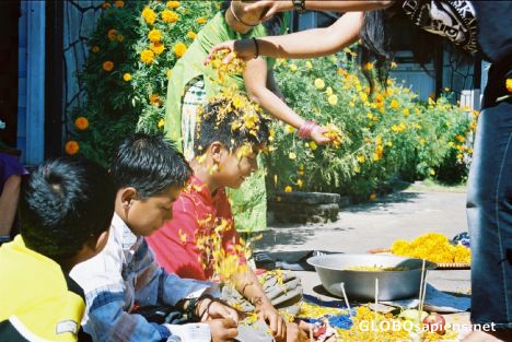 Postcard Tihaar Festival
