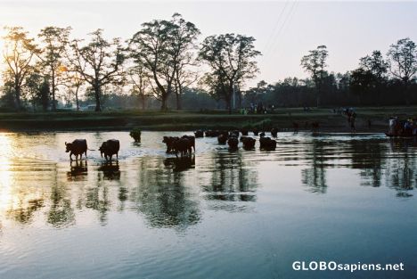 River Crossing