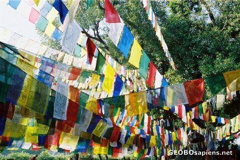 Postcard Birthplace of Buddha