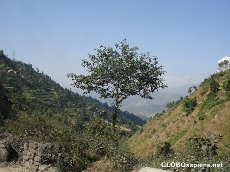 Postcard Mountain scenery