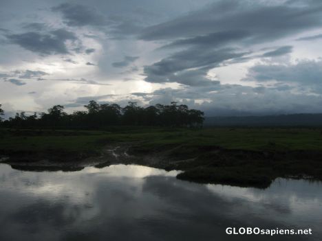 Postcard Jungle after the monsoon