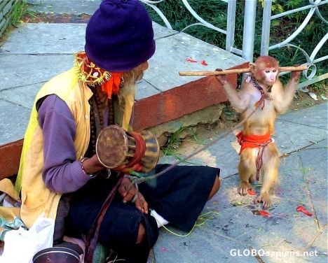Dancing monkey