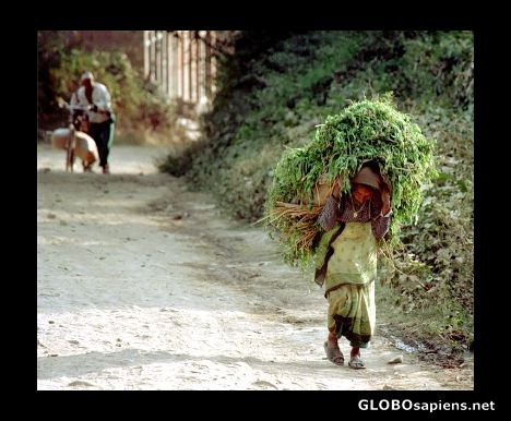 Postcard Near Bhaktapur, Nepal