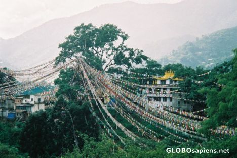Postcard Tibetan prayer flags