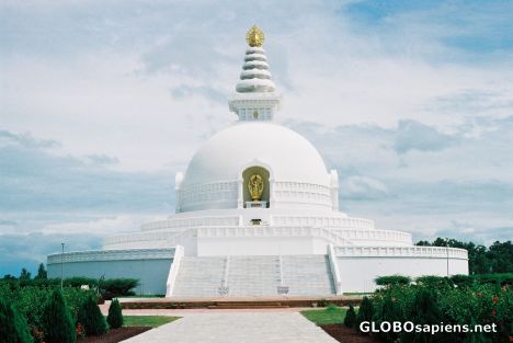 Postcard Japanese Peace Pagoda