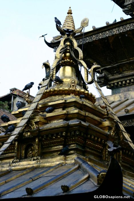 Postcard Golden Temple
