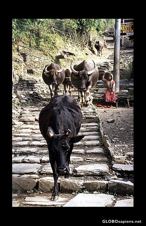 Postcard Traffic jam in the mountains