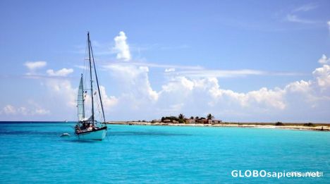 Postcard Bounty Island
