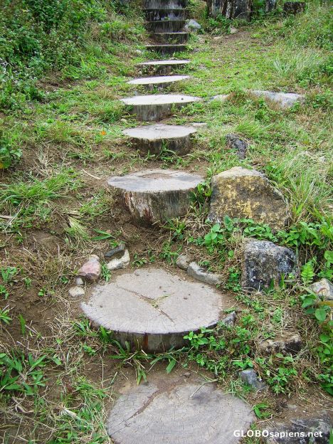 Postcard Wood Steps to the Top
