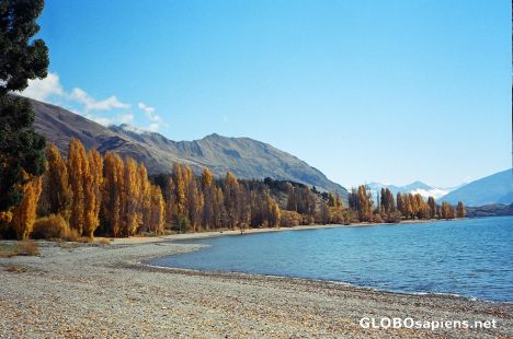 Postcard Lake Wanaka