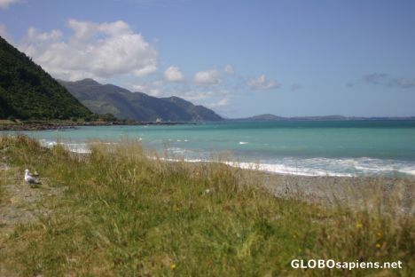 Postcard Oaro Beach