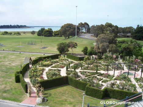 Postcard Rose Garden Timaru