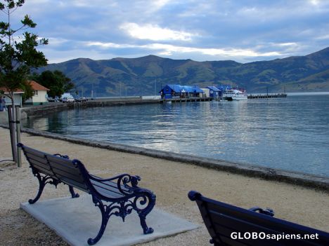 Postcard Akaroa harbour