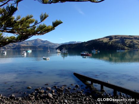 Postcard Akaroa Harbour