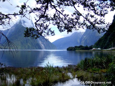 Postcard Nouvelle Zélande - Milford sound