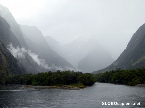 Postcard Nouvelle Zélande - Milford sound