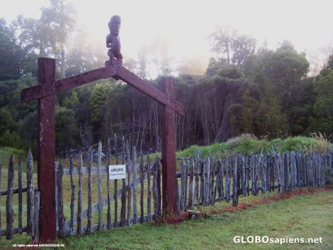 Postcard Private Cemetaries NZ Maori Urupa