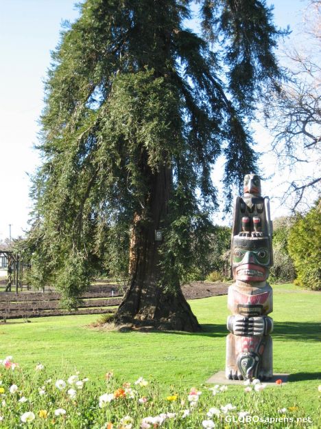 Postcard kwagulth totem pole