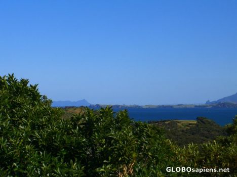 Postcard tutukaka coastline