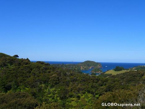Postcard tutukaka coastline north easterly