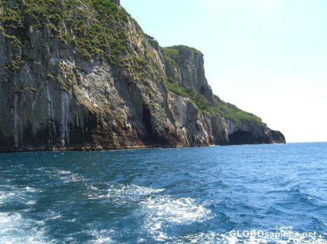Postcard tawhiti rahi coastline