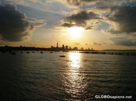 Postcard auckland - city of sails and sunsets