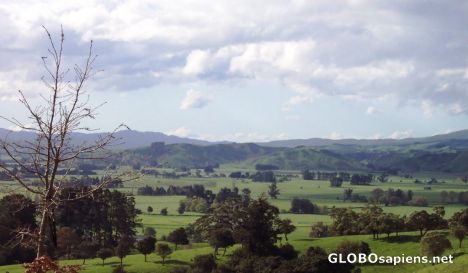 Postcard wairarapa farmland