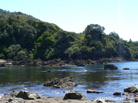 Postcard whanarua bay - perfect snorkelling beach