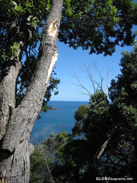 Postcard whanarua bay