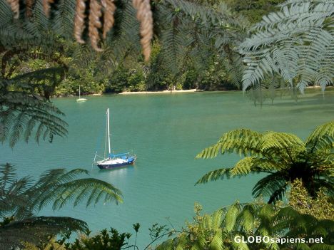 Postcard Outlook from 'Queen Charlotte Track'