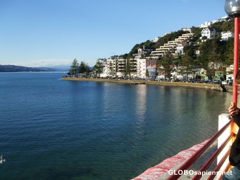 Wellington City