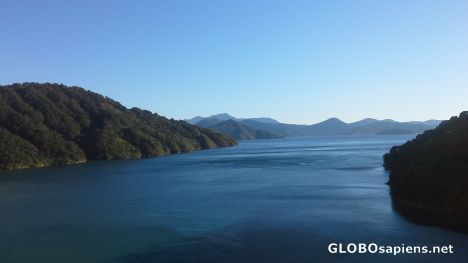 Postcard Akaroa Bay