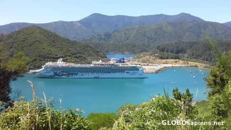 Postcard Shakespeare Bay